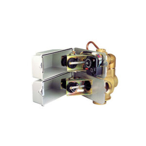 Fleck 3900